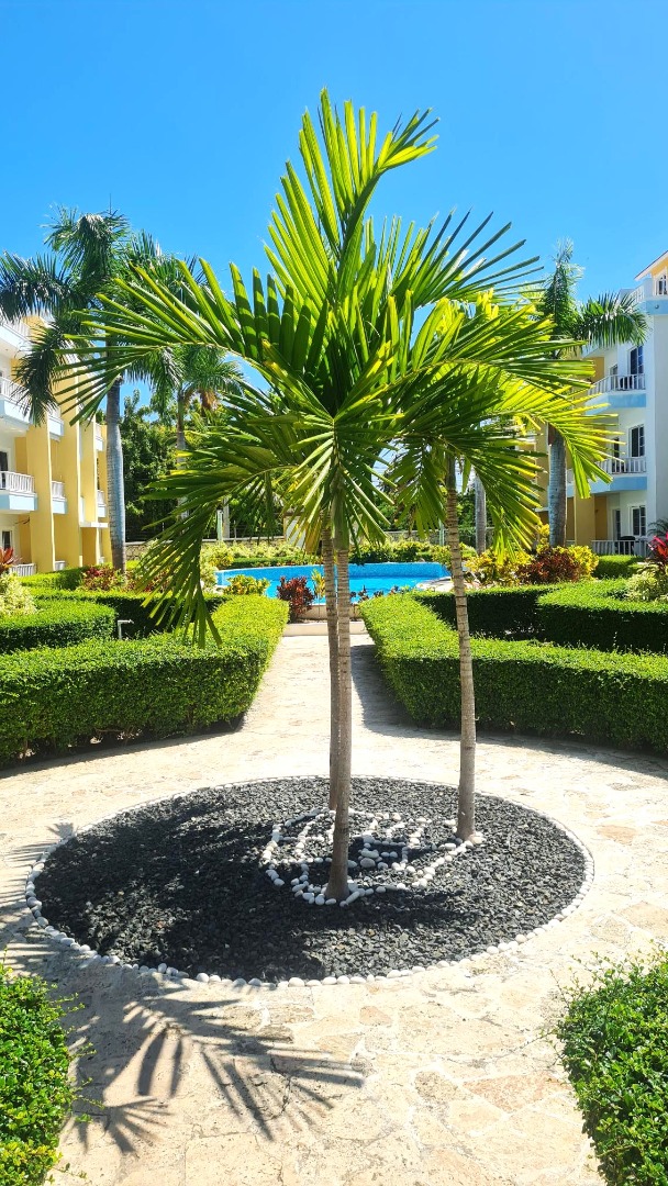 Estrella Del Mar Furnished 2 Bedroom By The Beach - Image 3