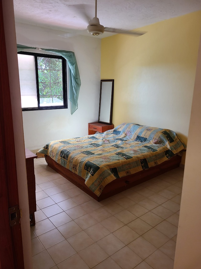 Caribbean Paradise - Image 2