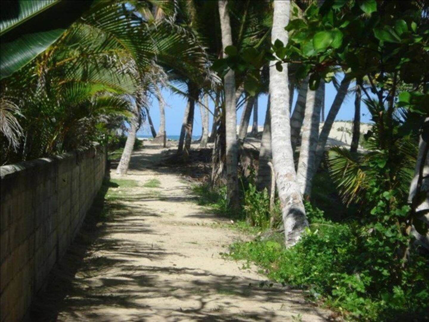 1 Bedroom Condo In With Ocean Views - Image 14