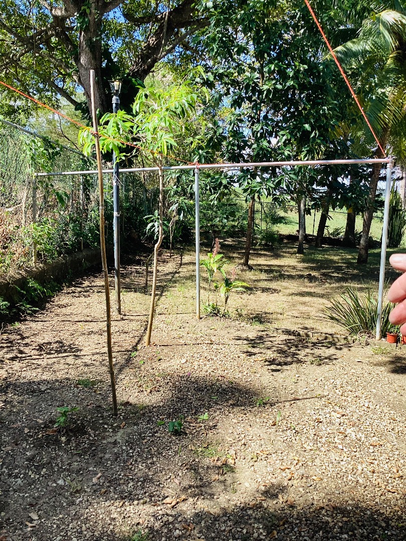 Beautiful 3 Bedrooms Villa - Image 4