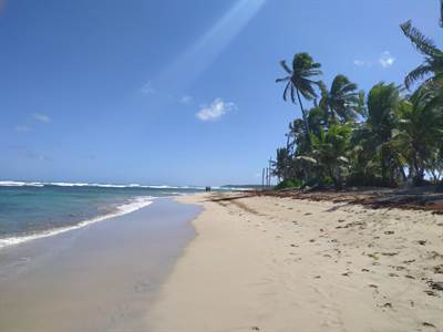Uvero Alto Beach Front Villa With Land - Image 5