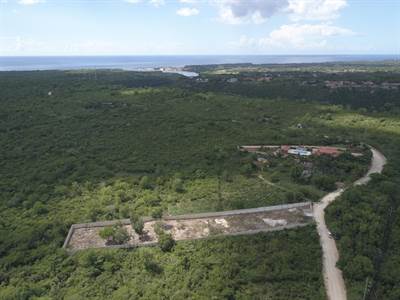 Land For Sale-boca De Chavon-la Romana - Image 4