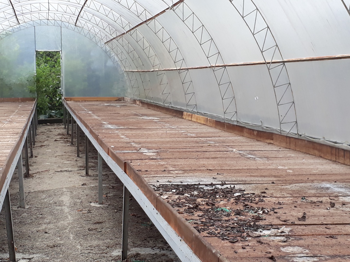 Cocoa And Mixed Fruits Farm + Cocoa Processing Installation - Image 5