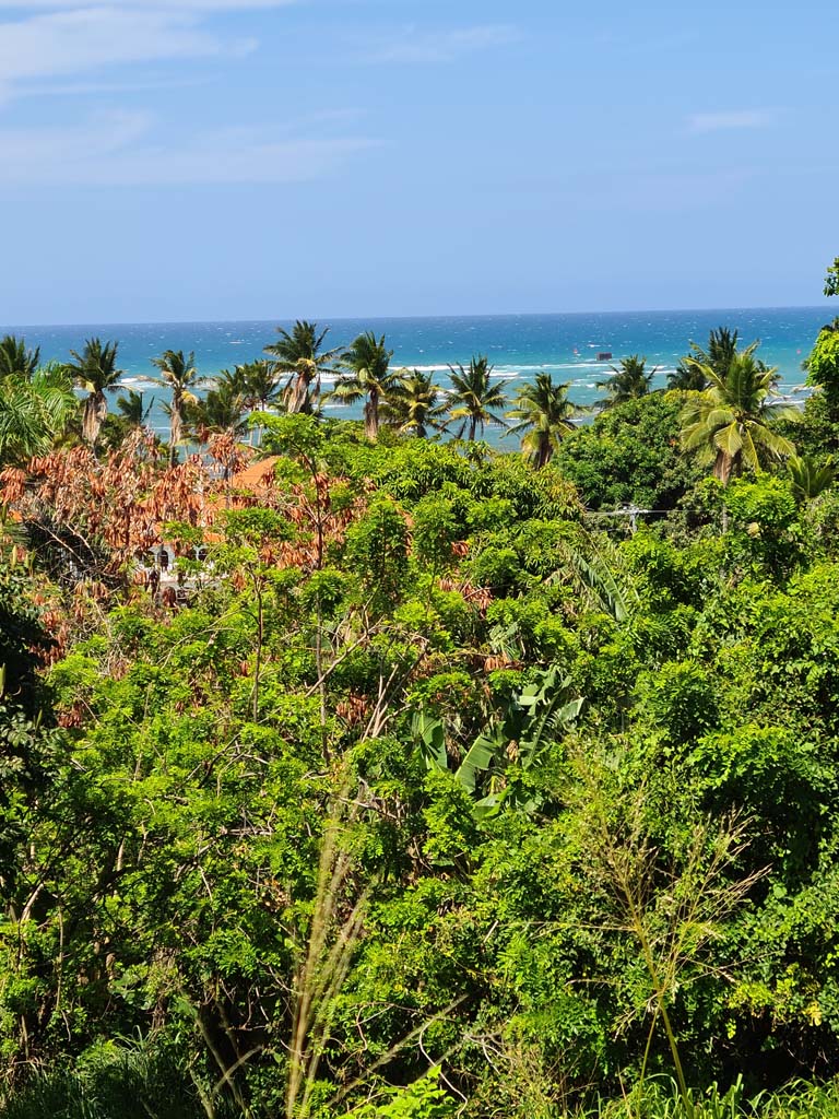 This Ocean View Lot Is Located On A Slope At The Highest Street - Image 3