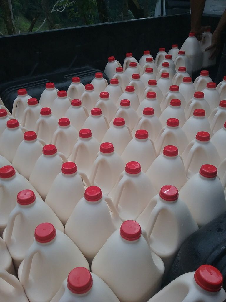 Cattle Farm - Image 4