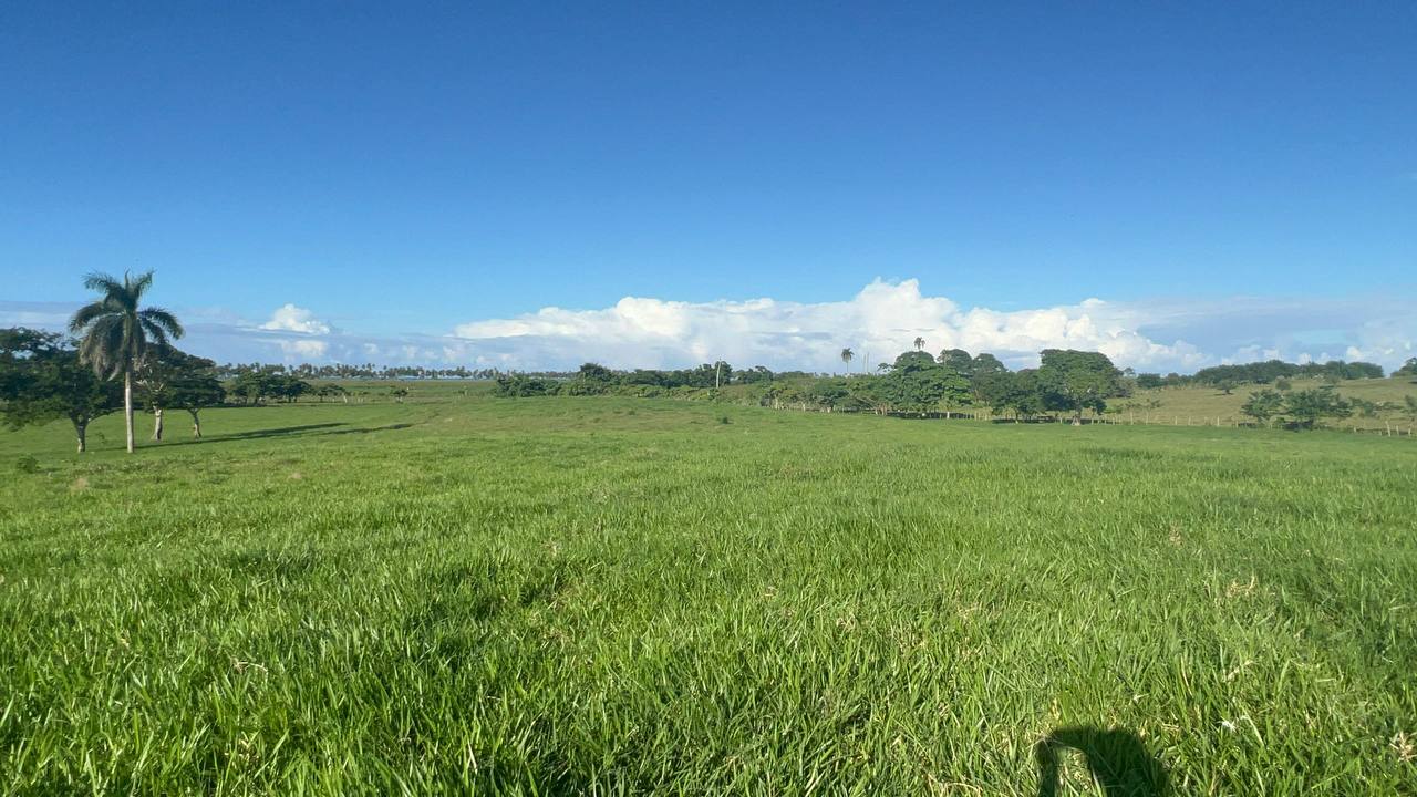 Land For Sale At Miches Dominican Republic - Image 5