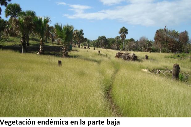 Island For Sale Exclusive Investment Gem In Puerto Plata Dr - Image 2