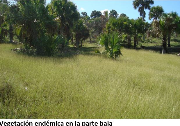 Island For Sale Exclusive Investment Gem In Puerto Plata Dr - Image 4