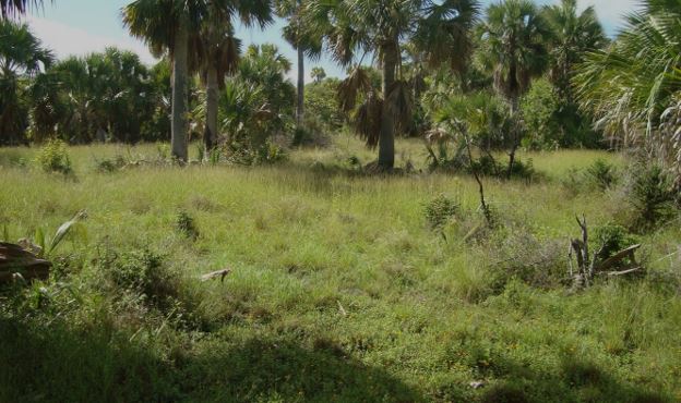 Island For Sale Exclusive Investment Gem In Puerto Plata Dr - Image 5