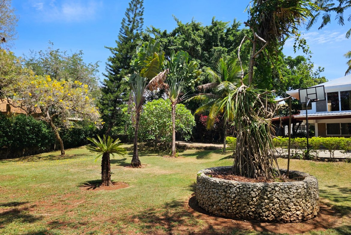 Unique 4BR Sosúa Villa + Extra Building Lot – Perfect Investment Opportunity - Image 3