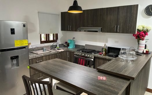 Residencial Ibiza 3BR Villa for sale - Image 3