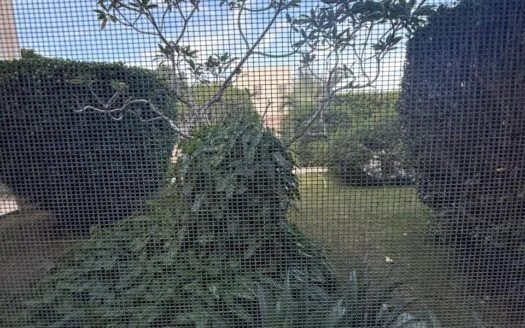 Apartamentos Para Inversion, Camino Llibre - RE/MAX ATLANTIS - Image 5