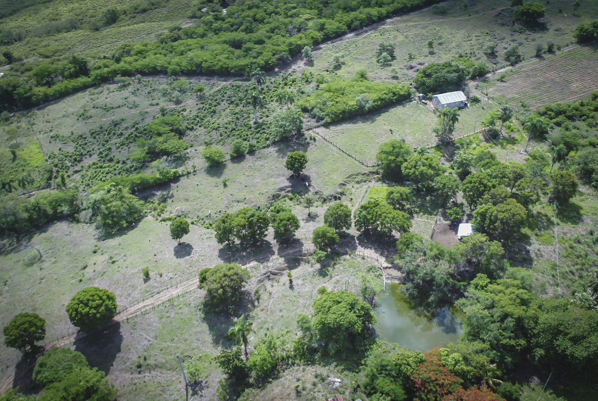 Beautiful 22 Acres of Development Property For Sale! | DRListings.com