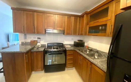 HERMOSO APARTAMENTO SANTIAGO - Image 3