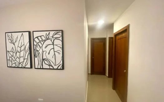 HERMOSO APARTAMENTO SANTIAGO - Image 4