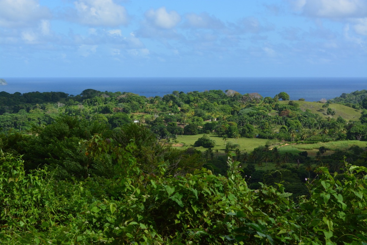 PRIME LAND OPPORTUNITY NEAR PLAYA RINCÓN – SAMANÁ  - Image 5